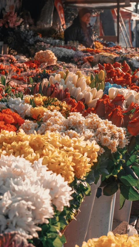 many flowers on display and in different colors