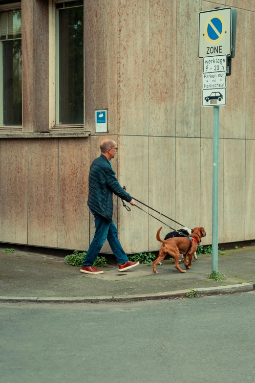 a man walking his dog down the street on a leash