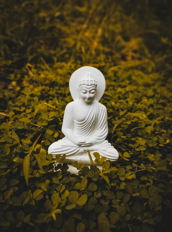 a small buddha statue sitting in a grass area