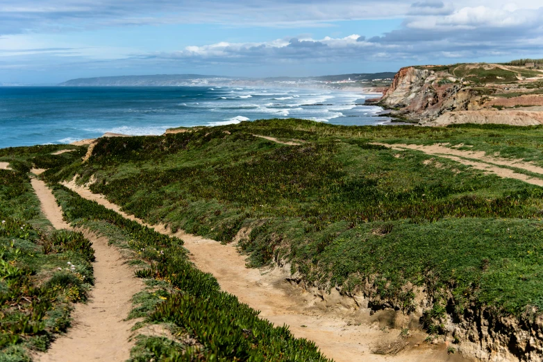 a dirt path leading to the ocean