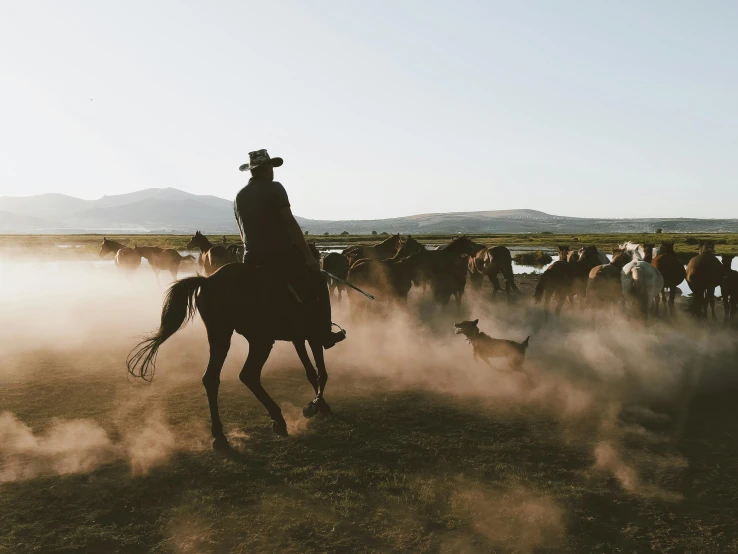 a man riding on the back of a horse in a field