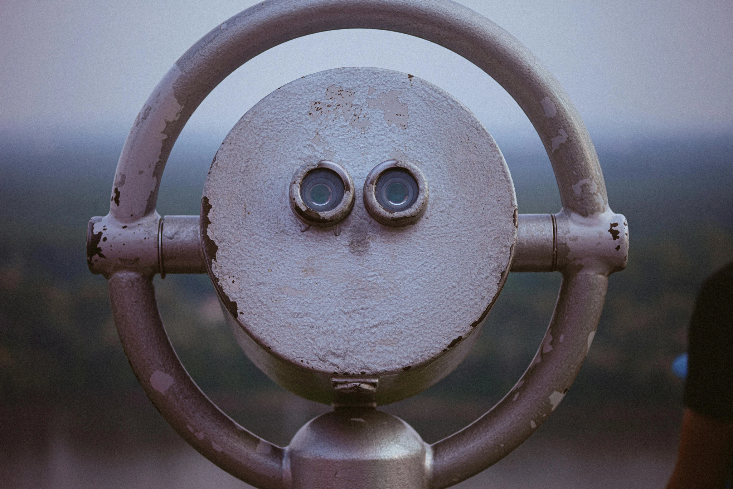 a close up view of two eyes on a circular object