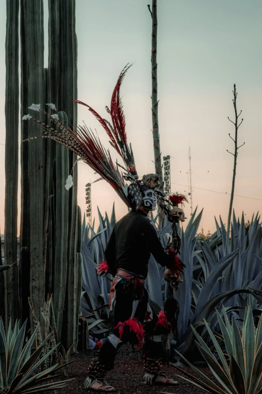 a man standing in front of an assortment of cactus plants