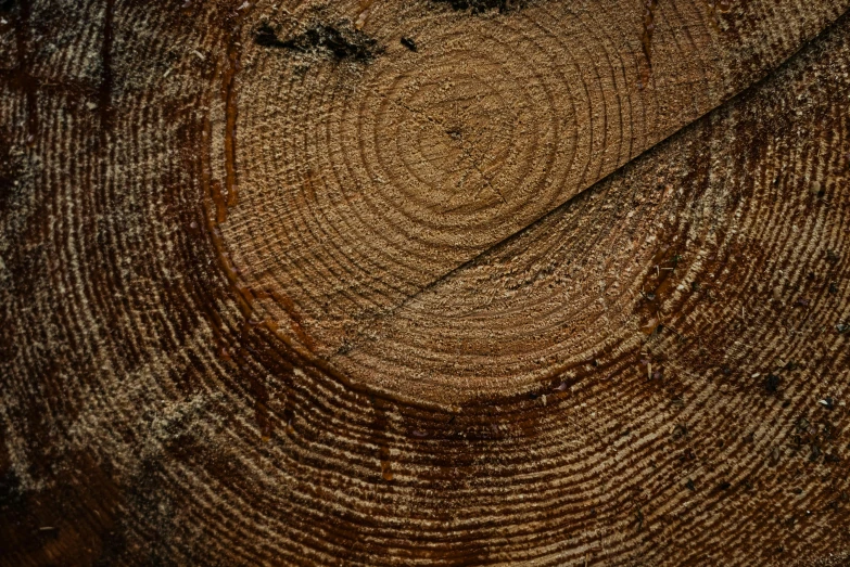 a picture of wood grain with some light brown stripes