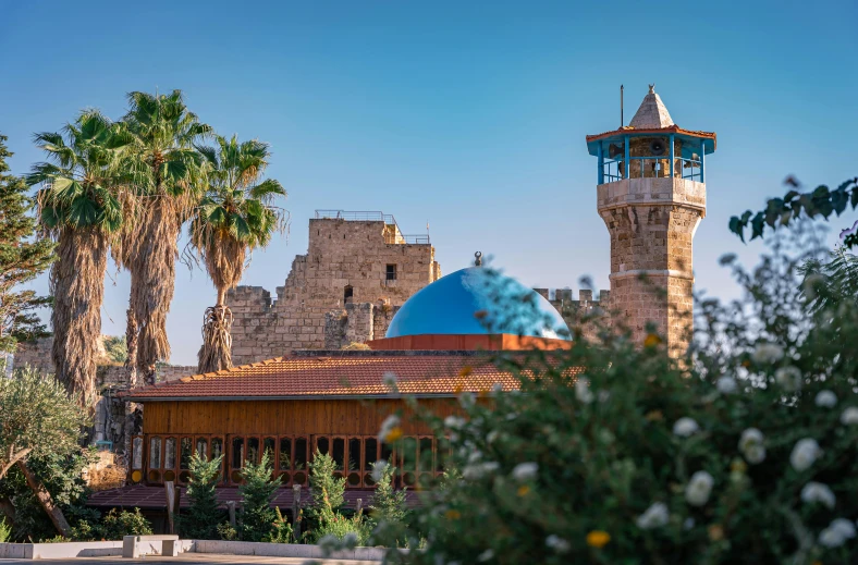 a building with a blue dome in the middle surrounded by palm trees