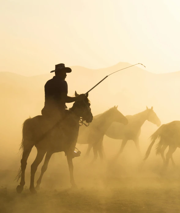 a man riding on the back of a horse near other horses