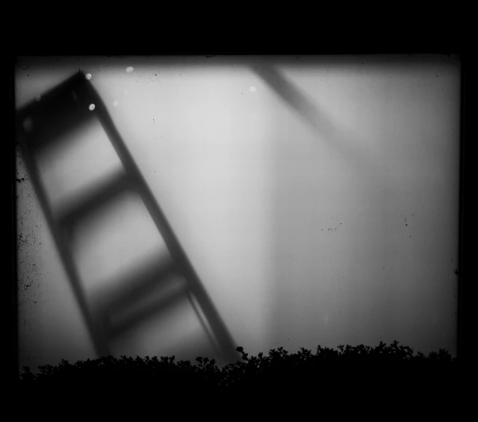 a dark ladder leaning against a wall with only the shadow on it