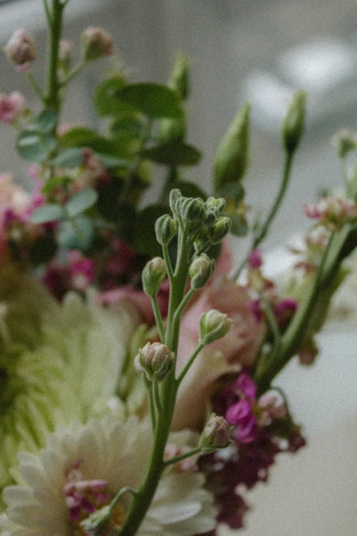 an arrangement of different types and colors of flowers