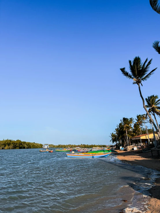 some boats are sitting on the water near trees