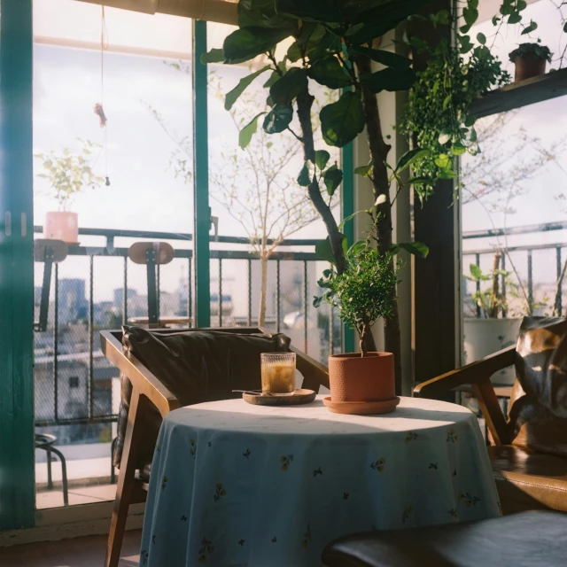 a table with a small plant on top