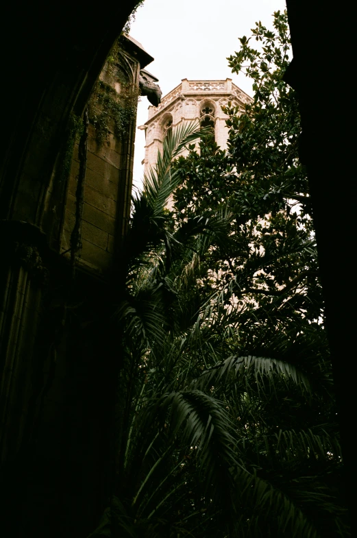 a view of trees through a window with an old building in the background