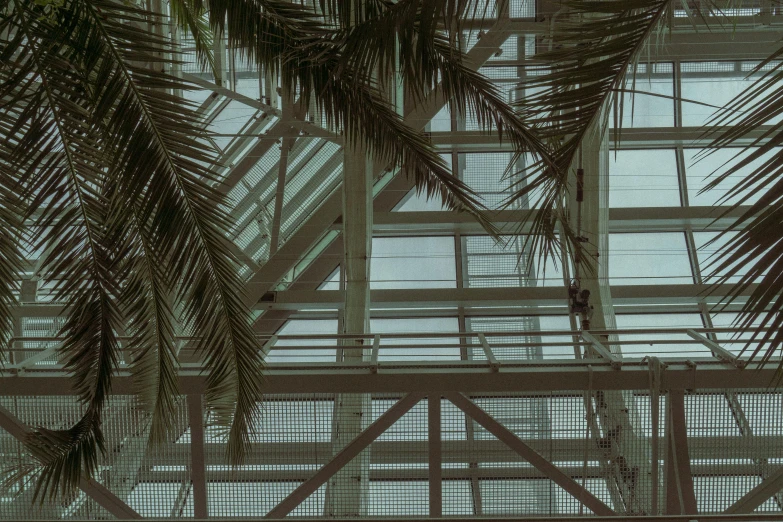 there is a close up of a building with palm trees