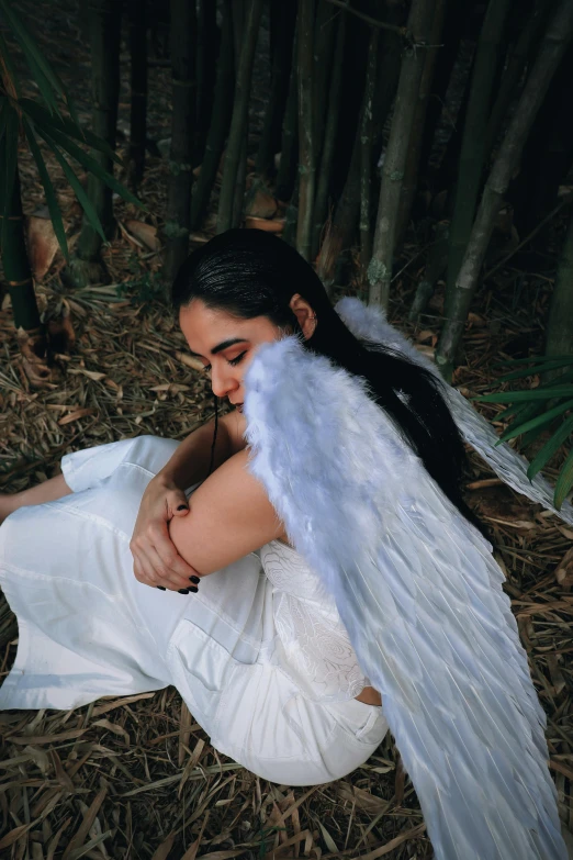 a person with long hair and wings in the grass