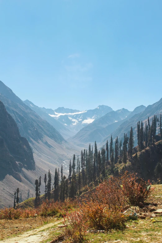 a mountain landscape with trees and rocks and a snow covered peak in the background