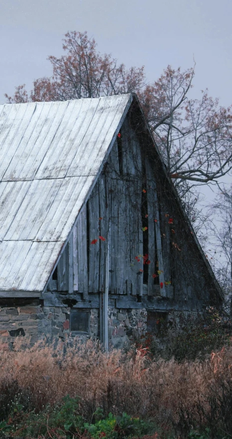 a close - up of the barn on a farm