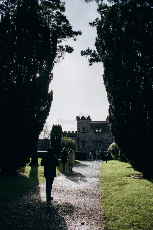 people walking down a driveway between trees