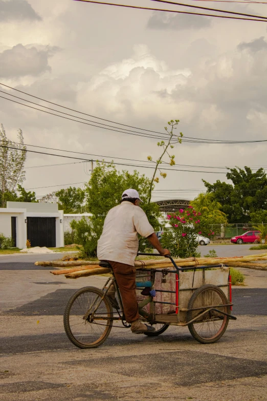 man on a bicycle carrying logs and wicker