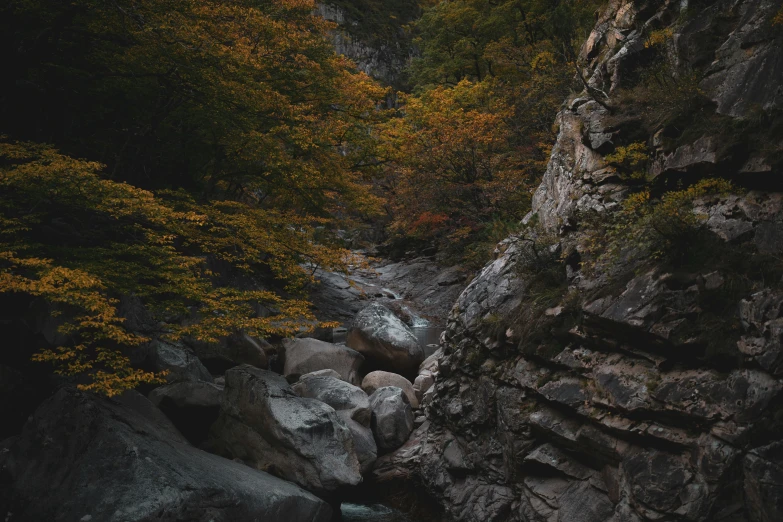 a small stream running through some rocks