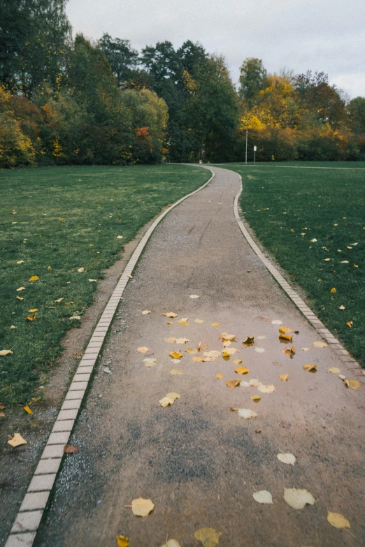 a paved road surrounded by grass with leaves all over it