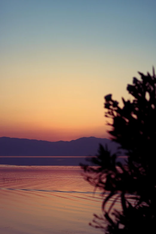 the sky above the horizon is seen at sunset