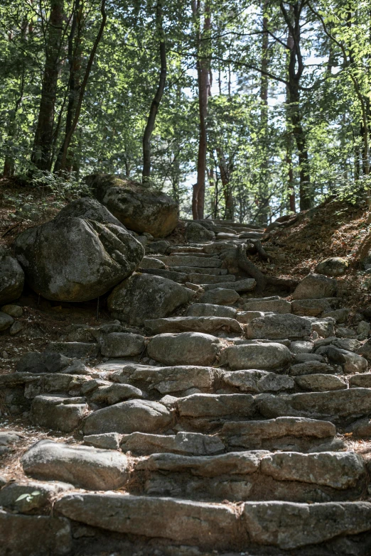 a staircase made of stones in the woods