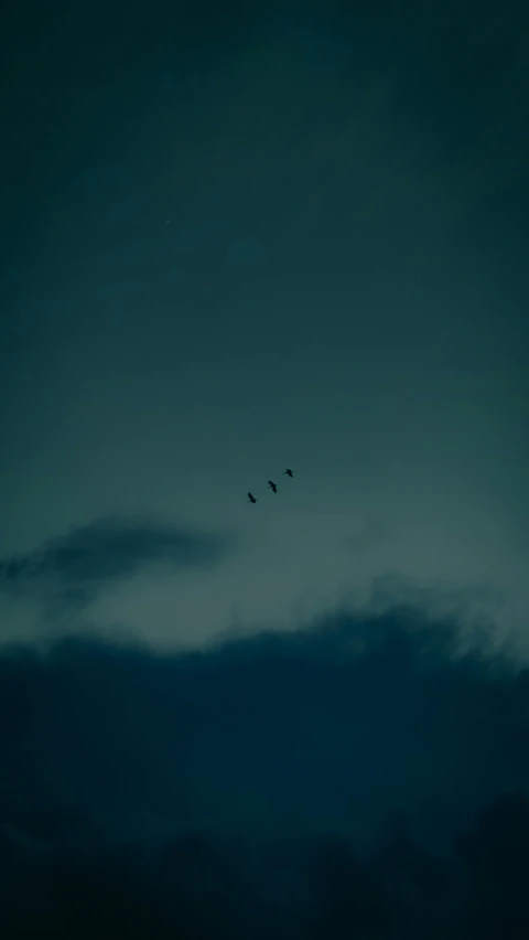 two birds in the sky with a moon