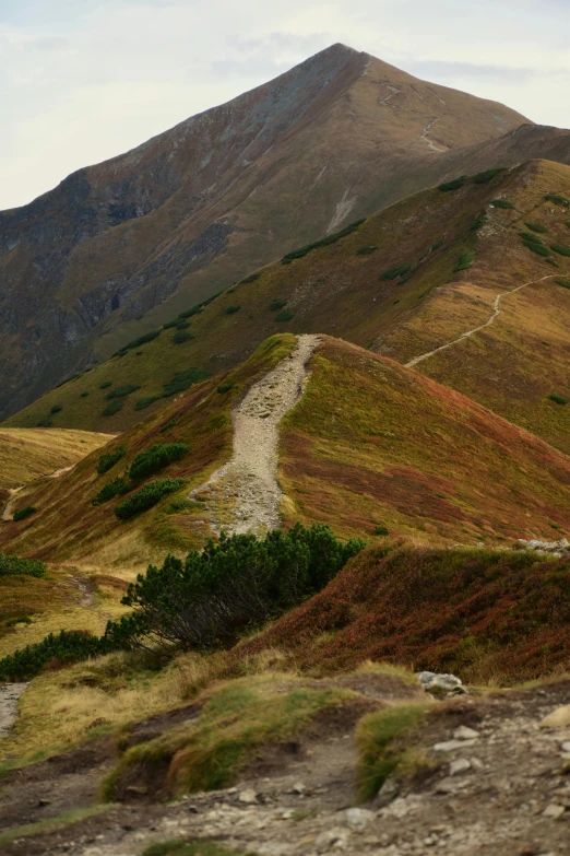 a mountain is shown with rocks, grass and a stone path