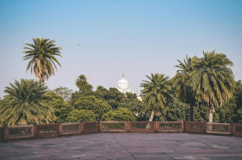 an iron fence with palm trees in the background