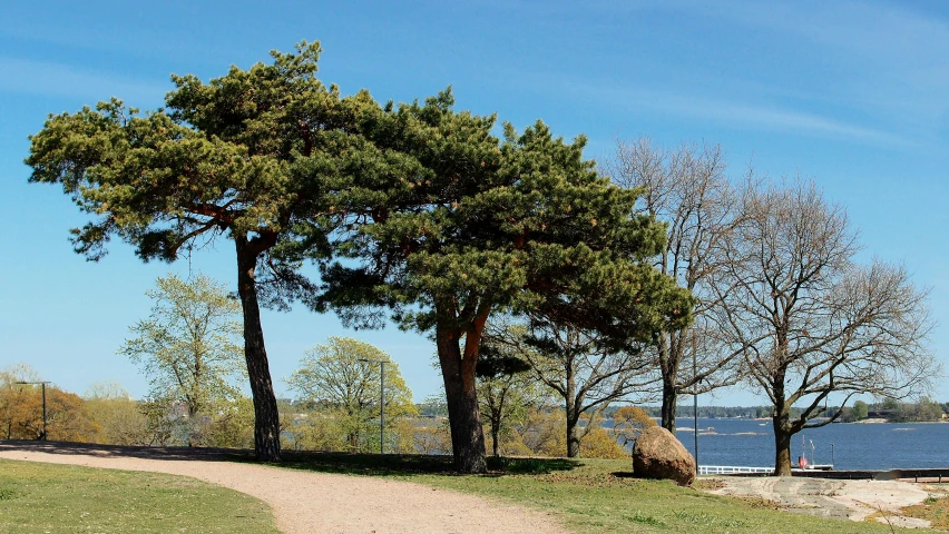 an area with grassy, dirt path and trees at the edge of water