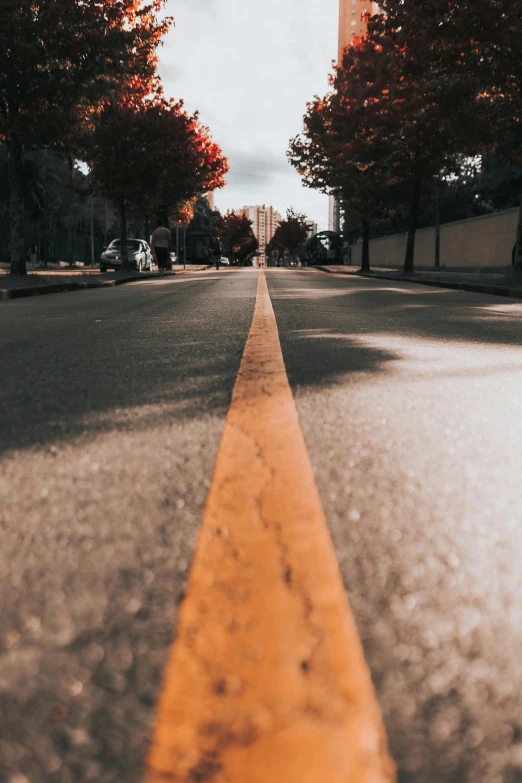 a street lined with trees and orange and yellow lines