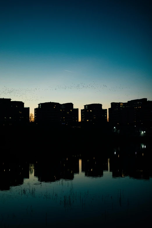 some birds in the distance as they fly