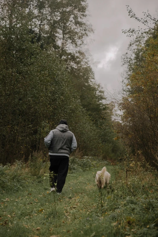 a person is walking alone in the woods