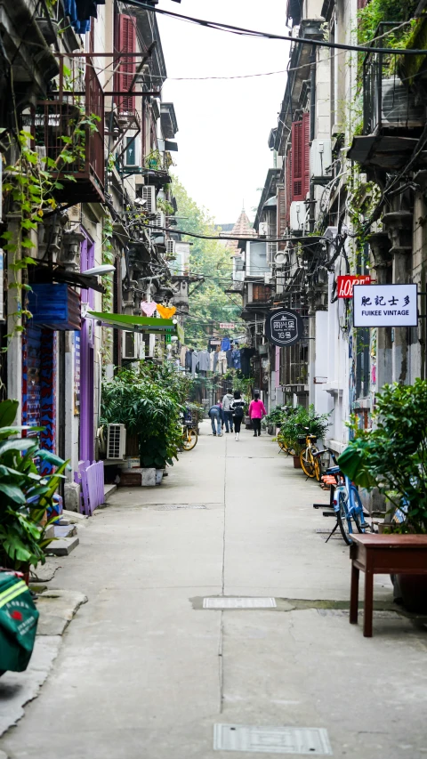 street with various plant and flower covered area