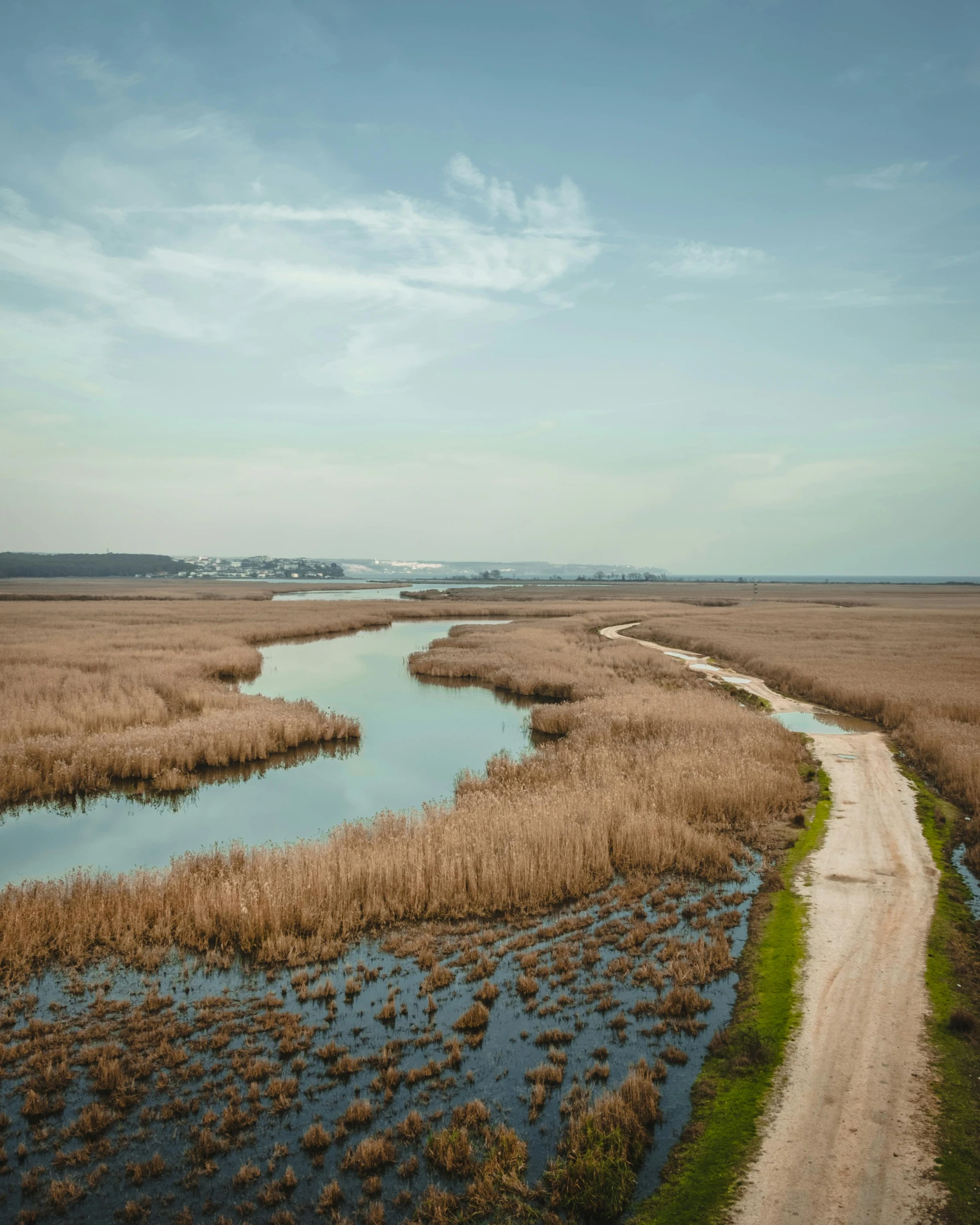 an open field and stream with dirt roads running through it