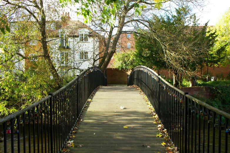 a bridge next to a tree with a long walkway on the other side