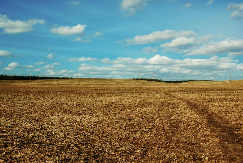 a barren field with a blue sky above