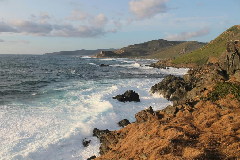 an open field is shown with seaweed on the sand