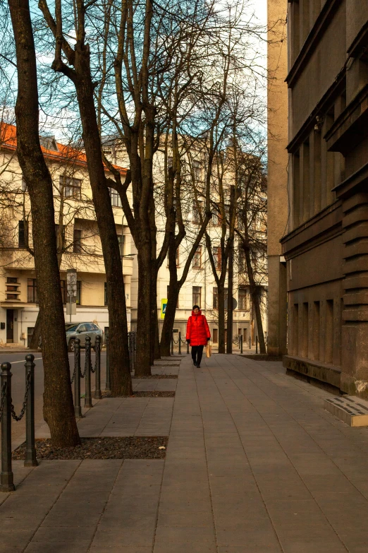 a man in a red jacket walking down a street lined with trees