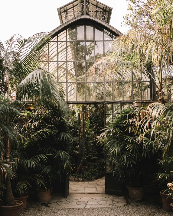 an old greenhouse with plants and plants in front