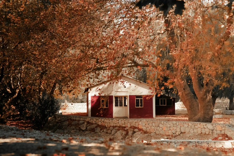 a house with red shutters behind some trees