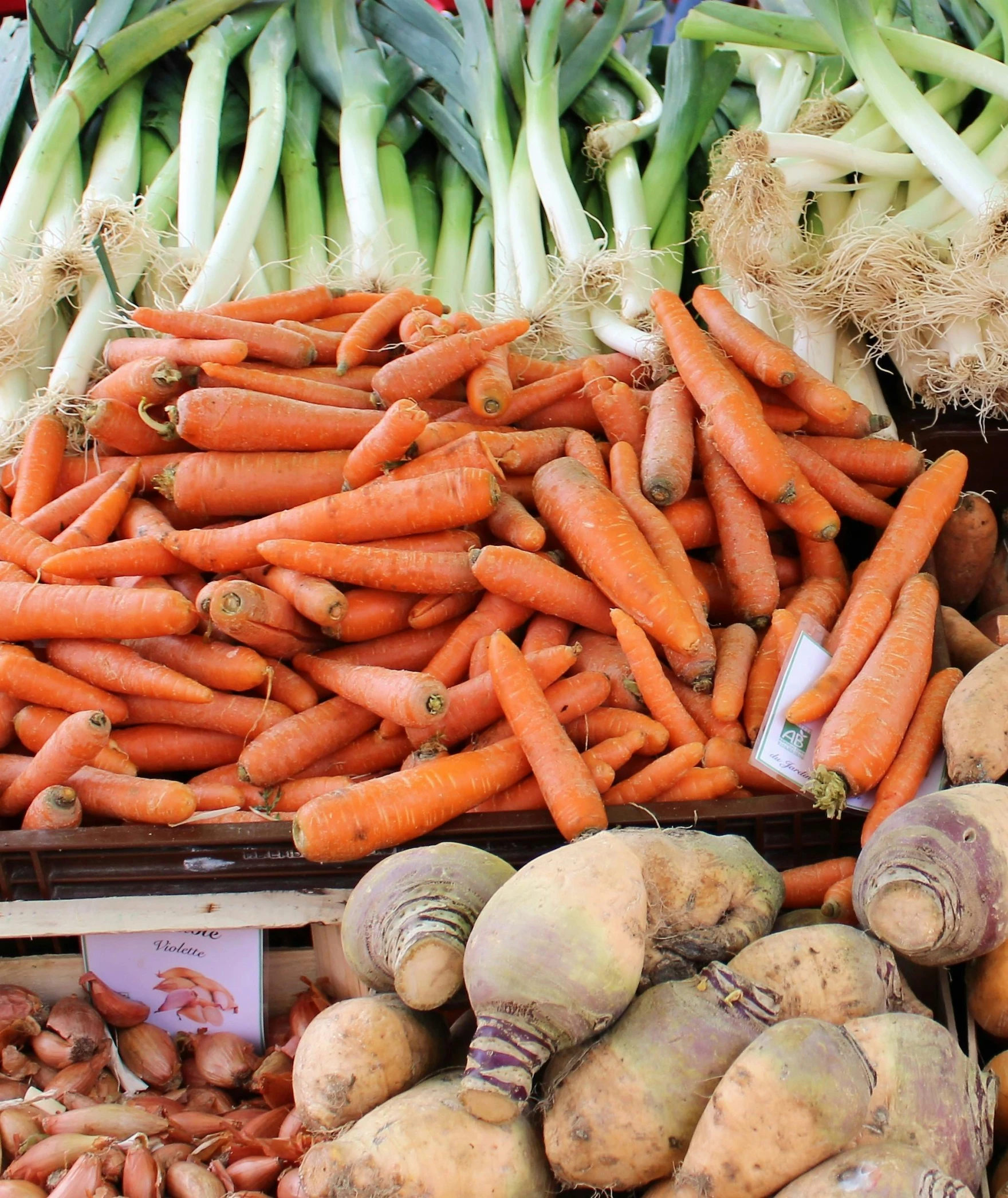 a collection of root vegetables sit on display