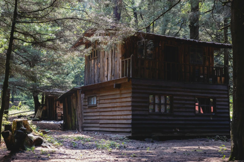 two log cabins in a forest with a porch