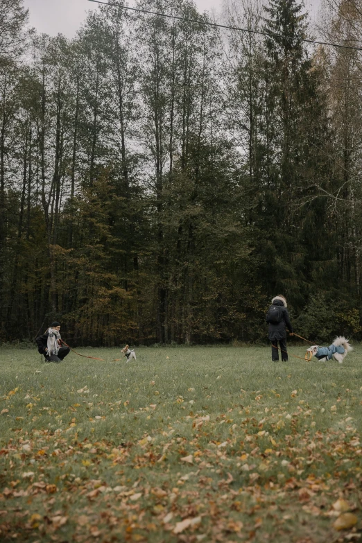 two people are in a grassy field with three dogs