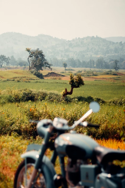 the view of an african field from behind a motorcycle