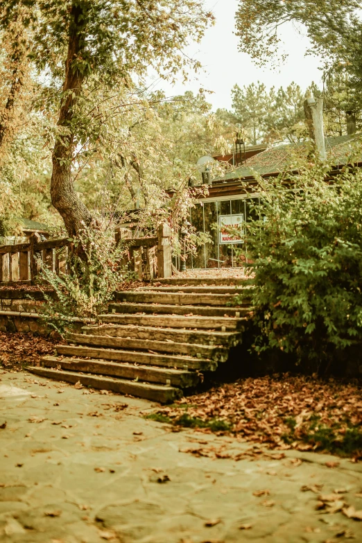 there are several trees and stairs that are on this path