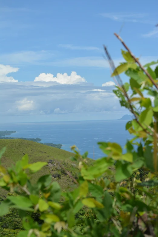 an umbrella stands atop the hilltop of a green island