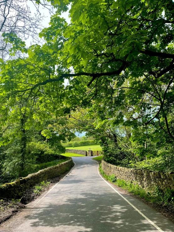 a paved path lined with trees next to a street