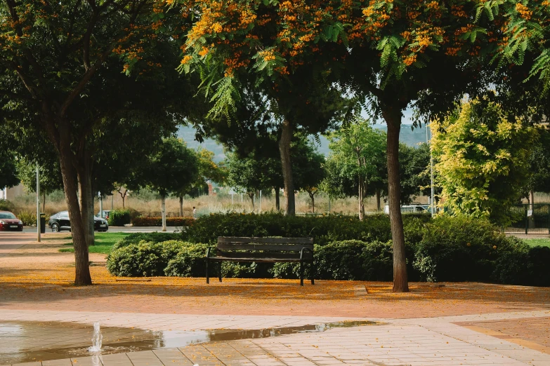 a park with a very long bench and lots of trees