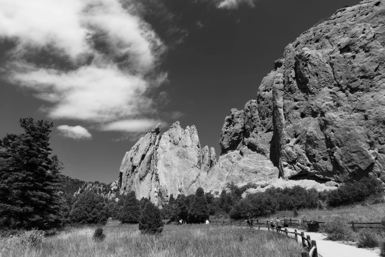 a mountain landscape with tall grass and rocks