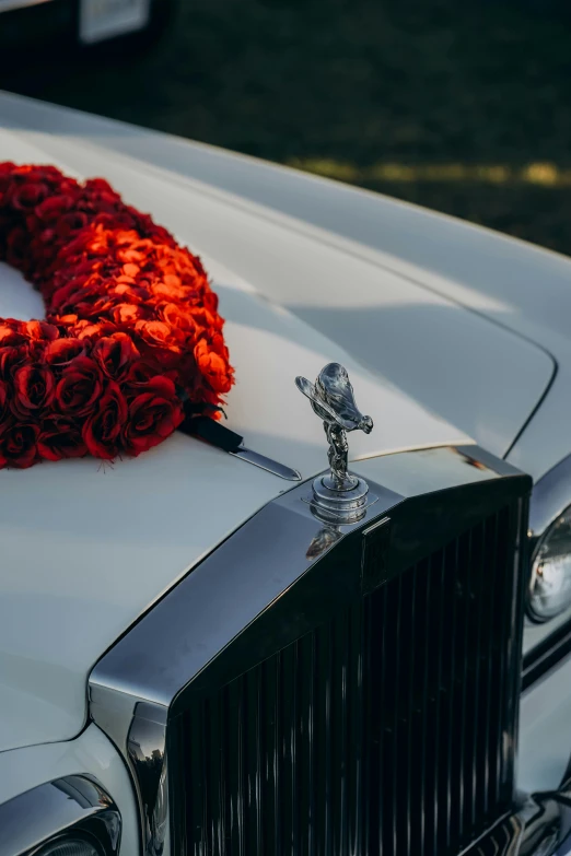 the emblem of a rolls royce is displayed on a white car